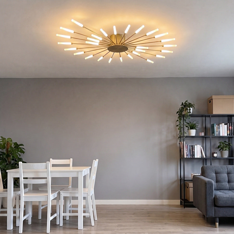 Firework Ceiling Light