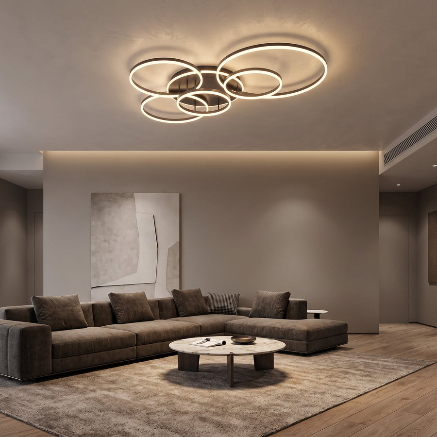 Randale's Black Ceiling Light