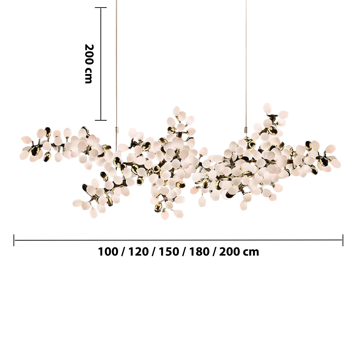 Fleurida Chandelier — dimensions