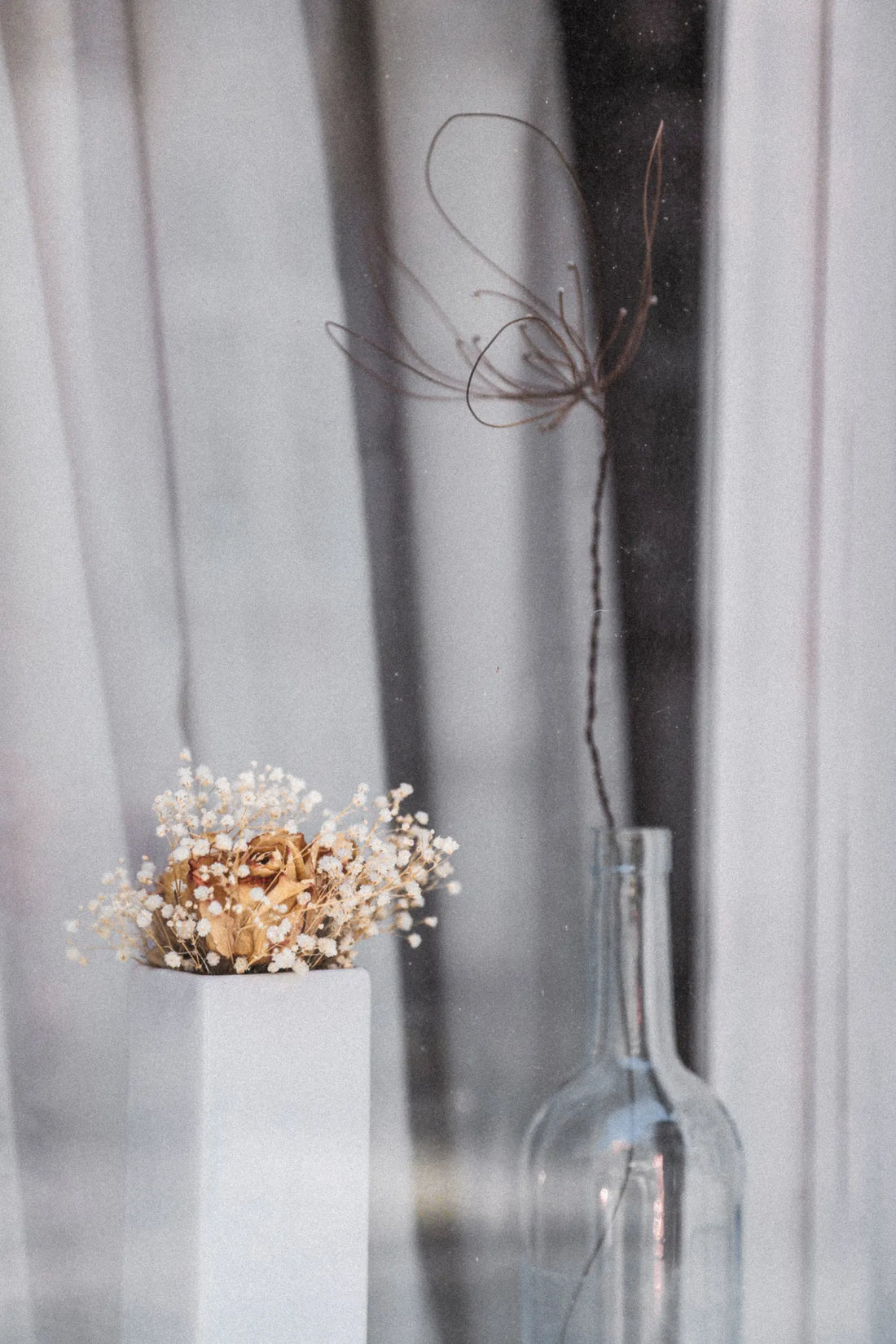 Fleurs séchées dans des vases en verre sur un fond neutre — photographie d’inspiration, hors catalogue Taahys.
