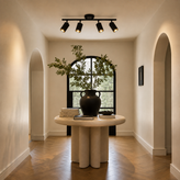 Modern 4 Head Ceiling Light