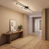 Aisle Ceiling Light