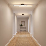 Aisle Ceiling Light