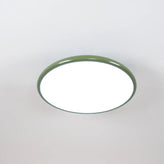 Drift Adjustable Ceiling Light
