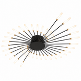 Firework Ceiling Light