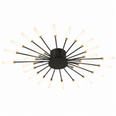 Firework Ceiling Light
