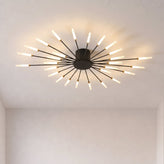 Firework Ceiling Light