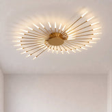 Firework Ceiling Light
