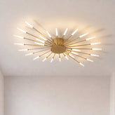 Firework Ceiling Light