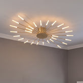 Firework Ceiling Light