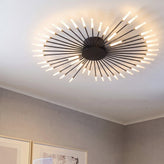 Firework Ceiling Light