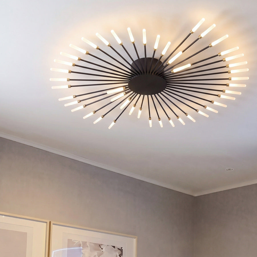Firework Ceiling Light