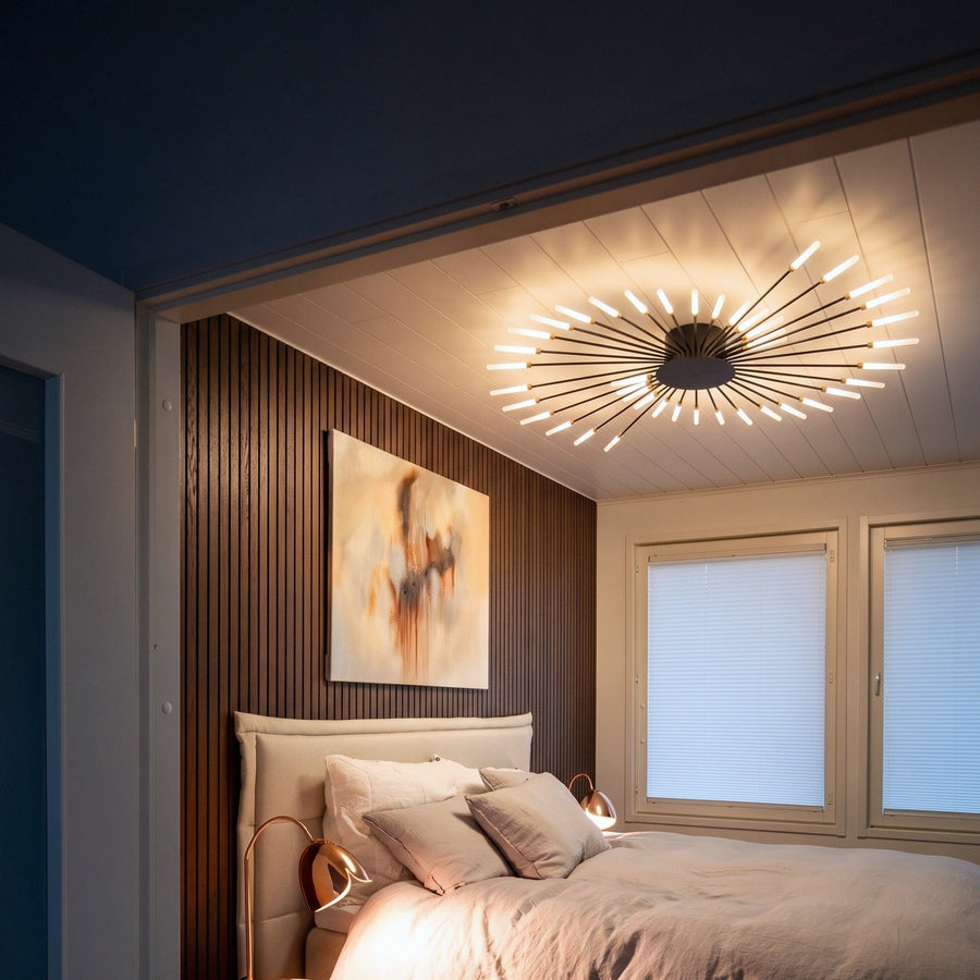 Firework Ceiling Light