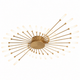 Firework Ceiling Light