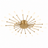 Firework Ceiling Light