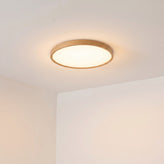 Log Wood Ceiling Light