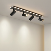 Multiple Spot Ceiling Light