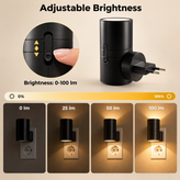 Plug-in Up and Down LED Wall Light