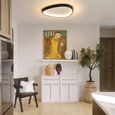 Single Black Armure Ceiling Light