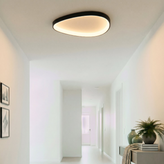 Single Black Armure Ceiling Light