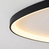 Single Black Armure Ceiling Light